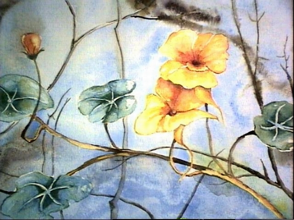 99_pispot__aquarel__20x30.jpg