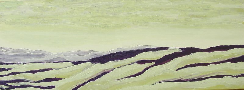 014_060403_landschap__acrylopdoek__80x30.jpg